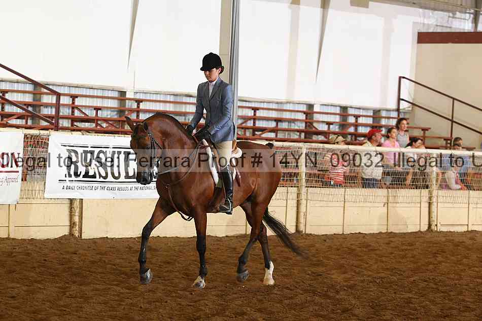 Proof 14yn_09032