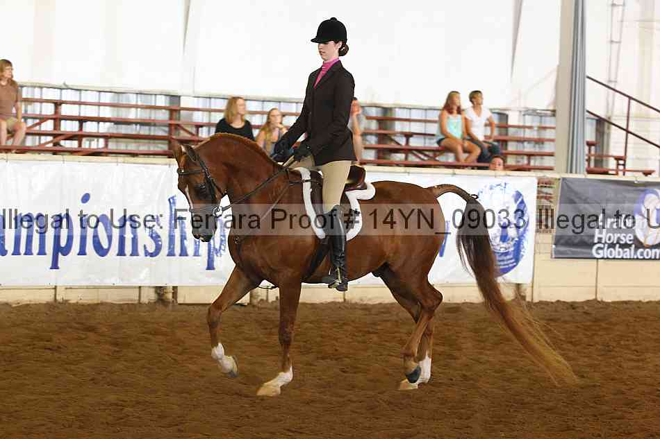 Proof 14yn_09033