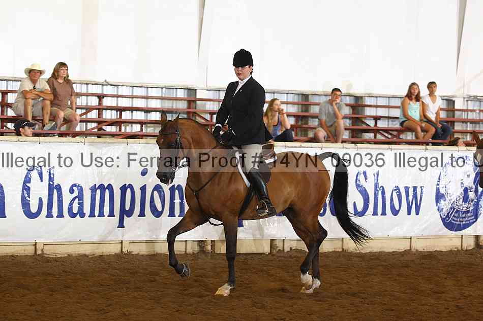 Proof 14yn_09036