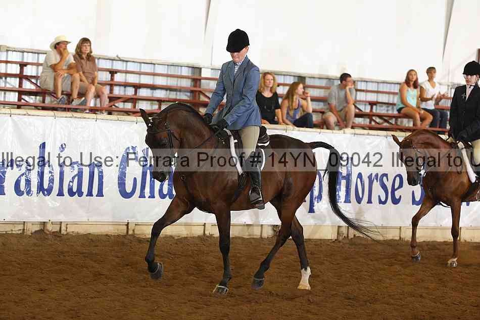 Proof 14yn_09042