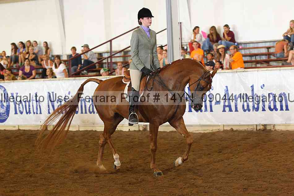 Proof 14yn_09044
