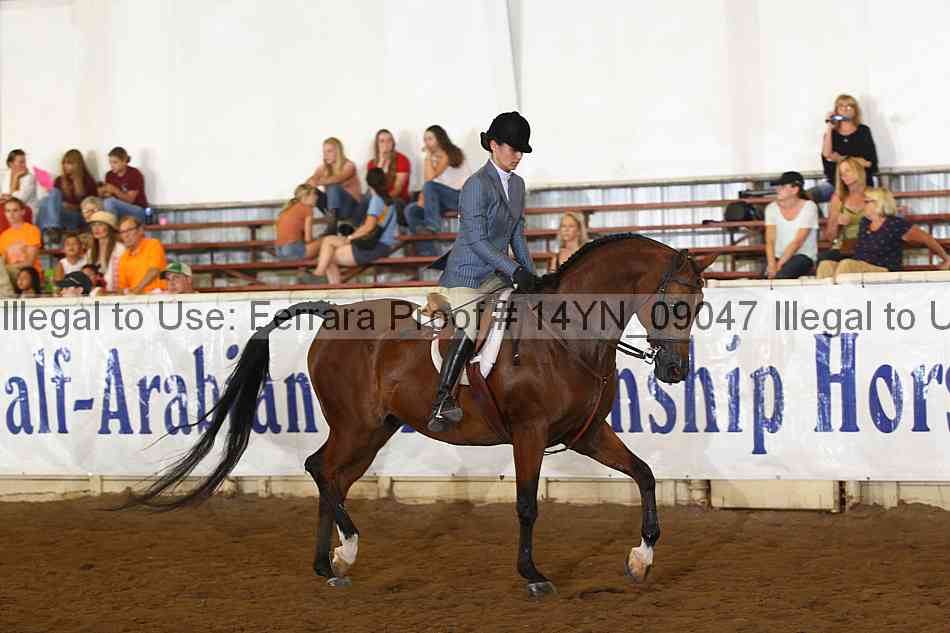 Proof 14yn_09047
