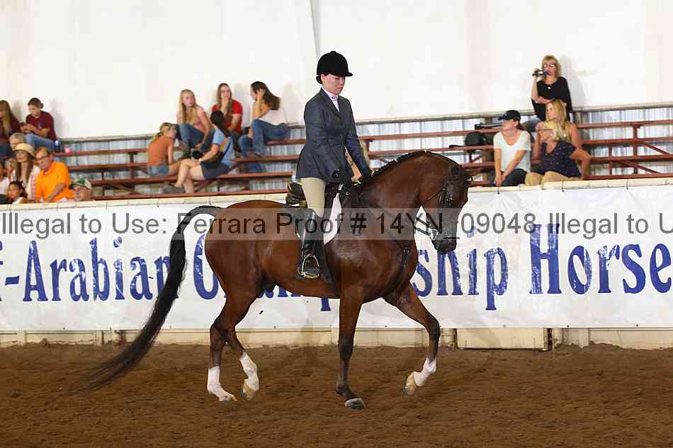Proof 14yn_09048