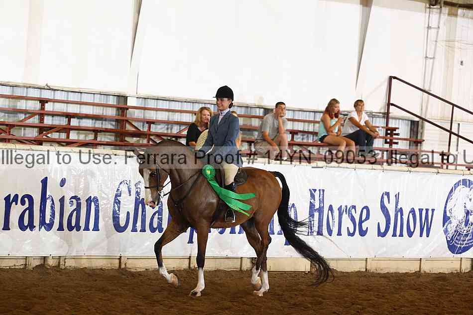 Proof 14yn_09053