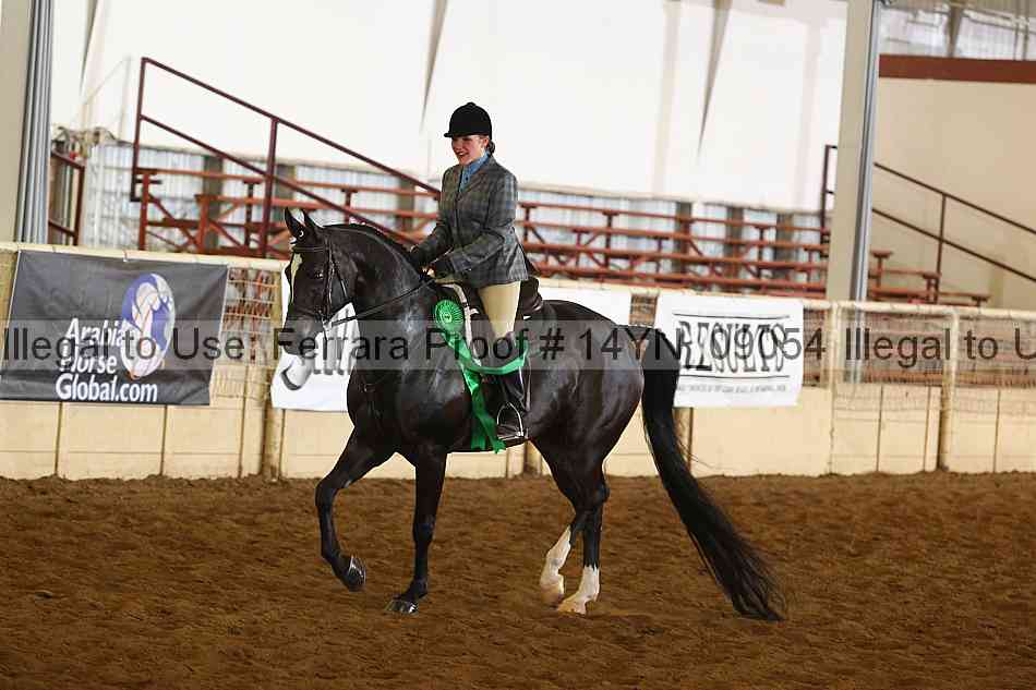 Proof 14yn_09054