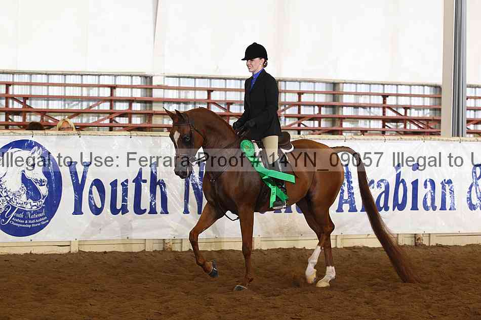 Proof 14yn_09057