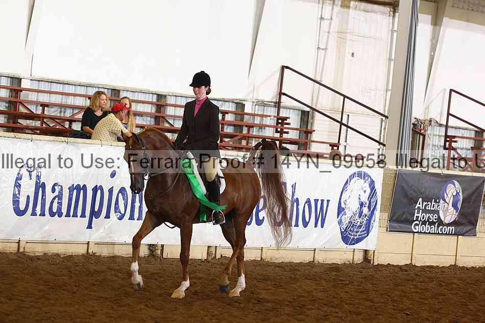 Proof 14yn_09058