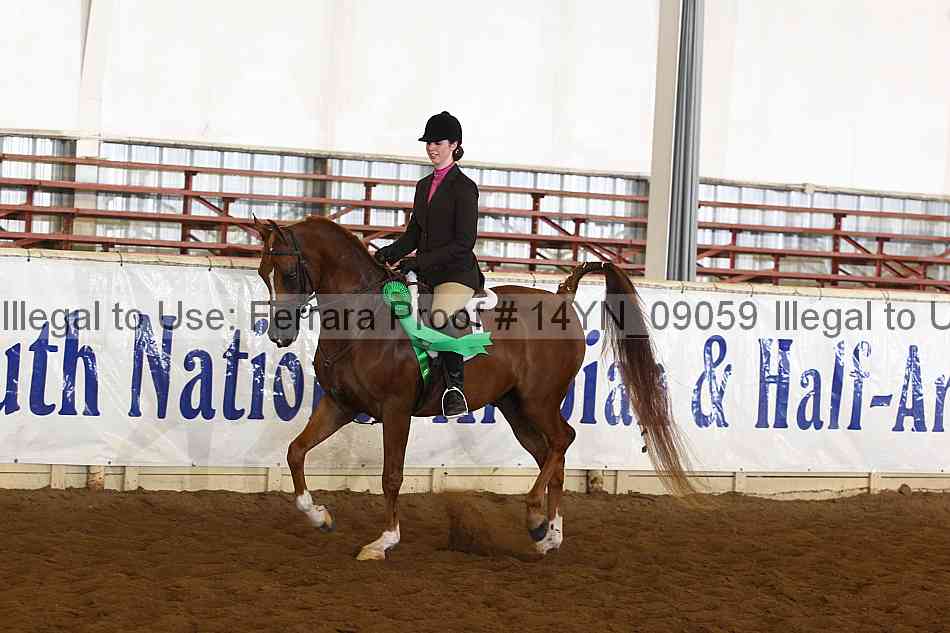Proof 14yn_09059