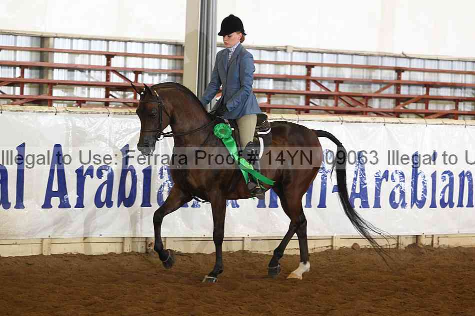 Proof 14yn_09063