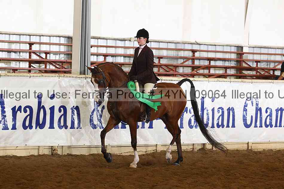 Proof 14yn_09064
