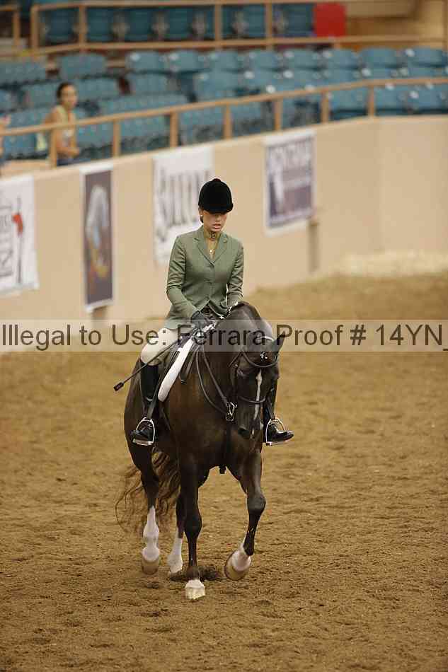 Proof 14yn_29866