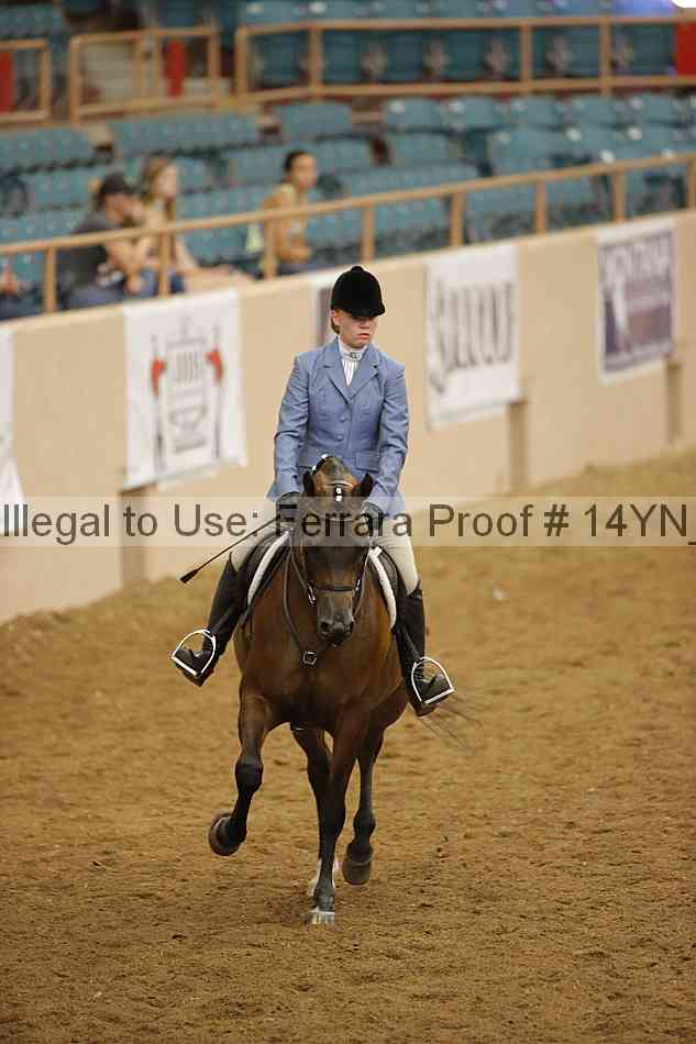 Proof 14yn_29883