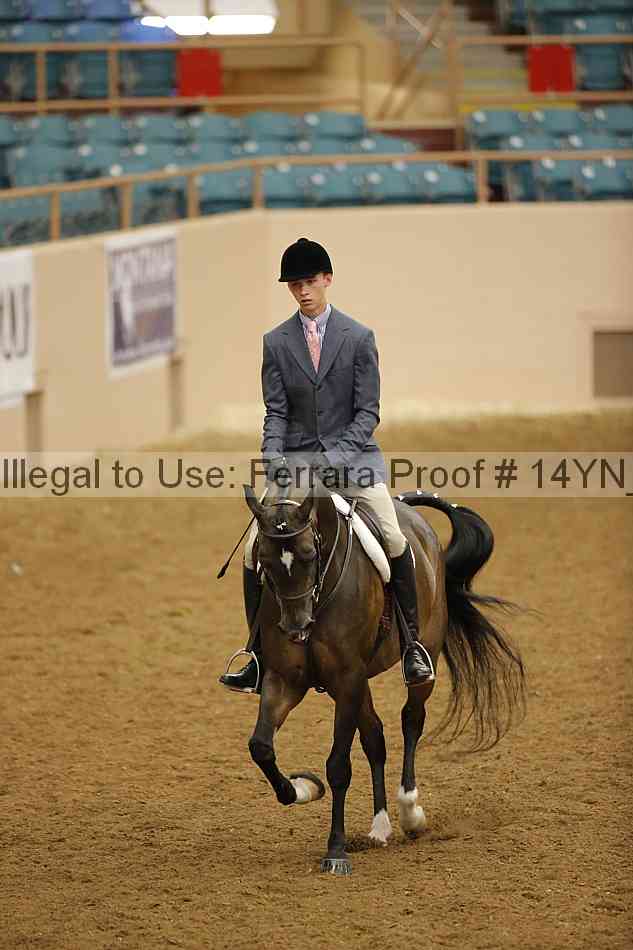 Proof 14yn_29899