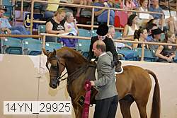 14yn_29925 proof