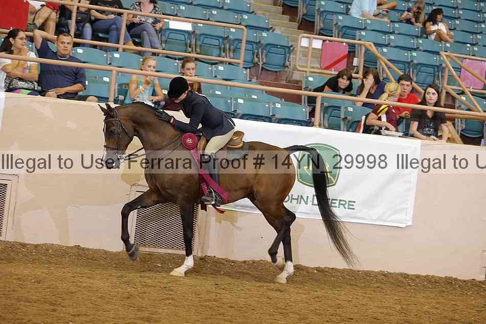 Proof 14yn_29998