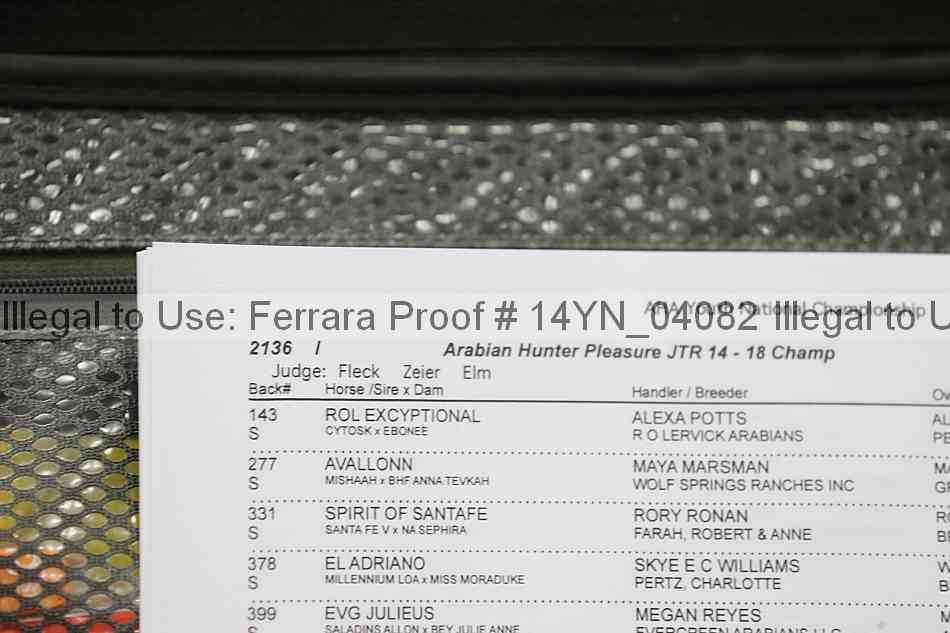 Proof 14yn_04082