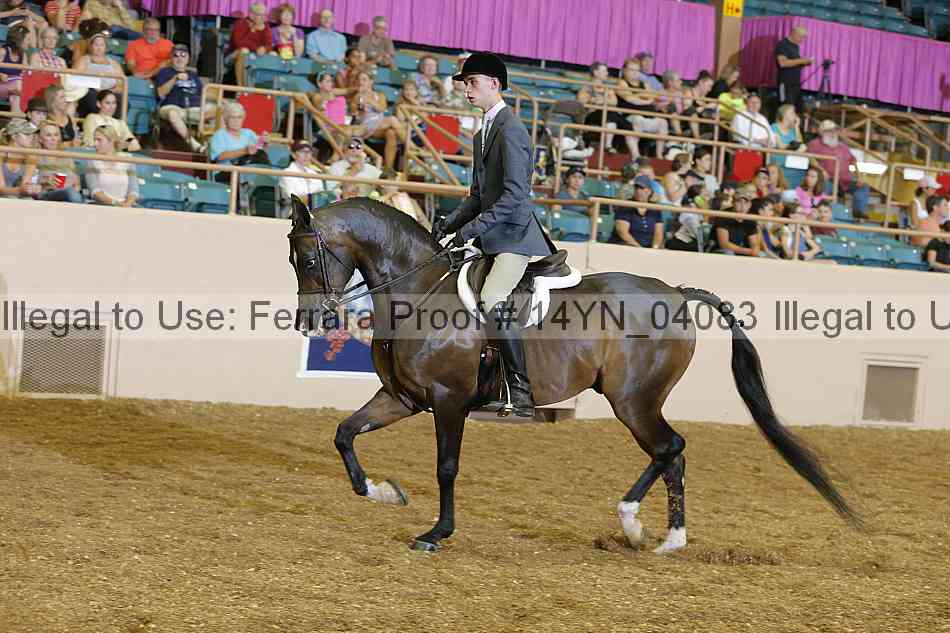 Proof 14yn_04083