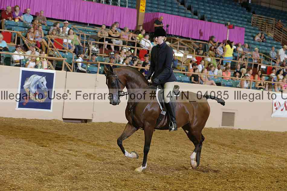Proof 14yn_04085