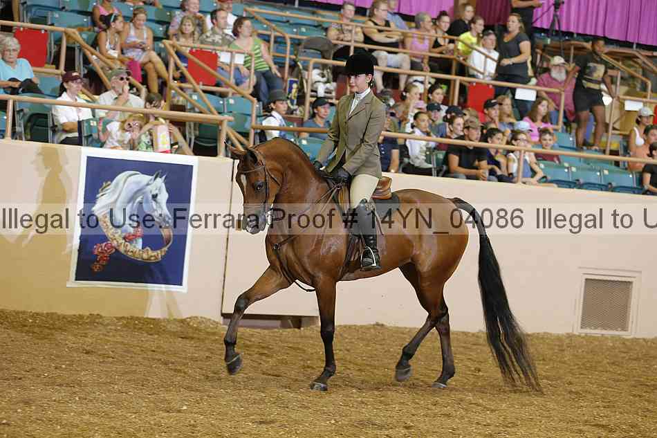 Proof 14yn_04086