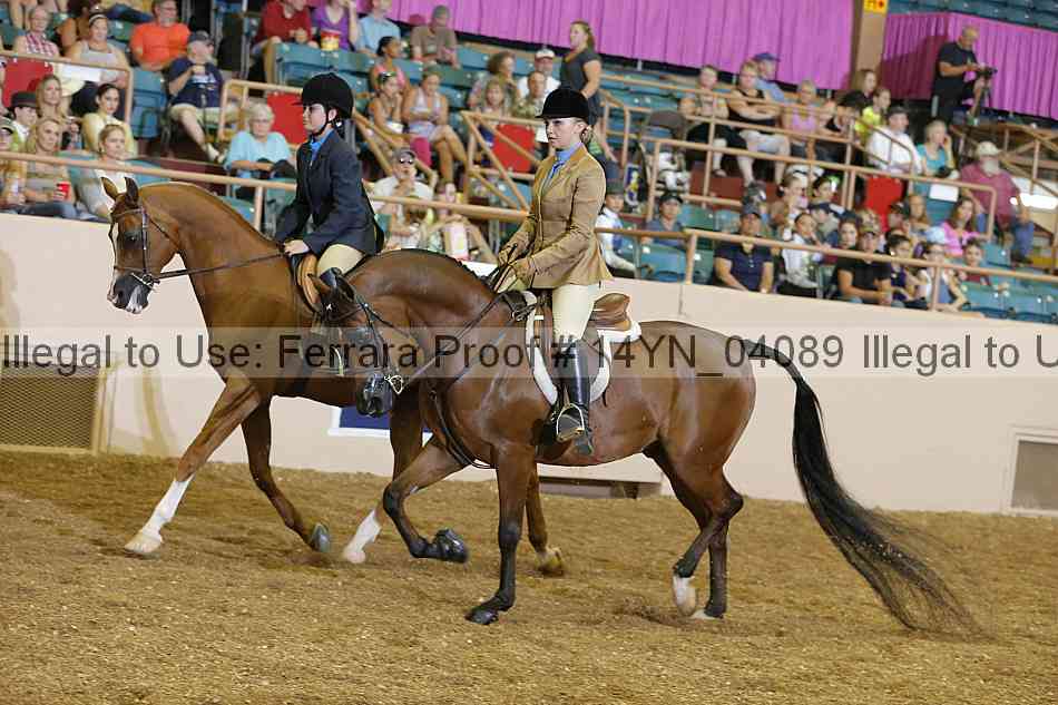 Proof 14yn_04089