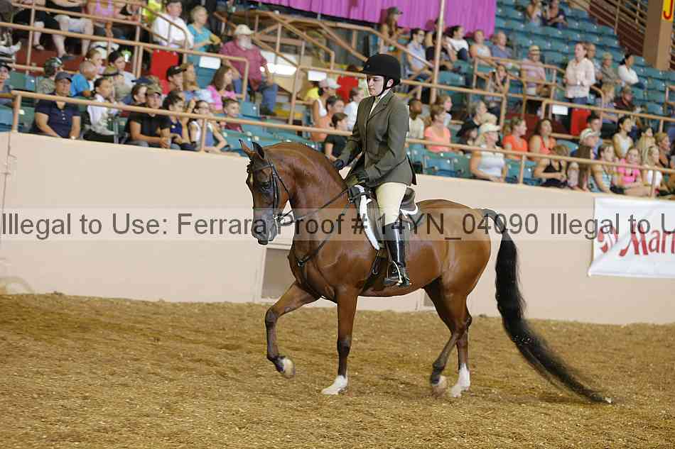 Proof 14yn_04090