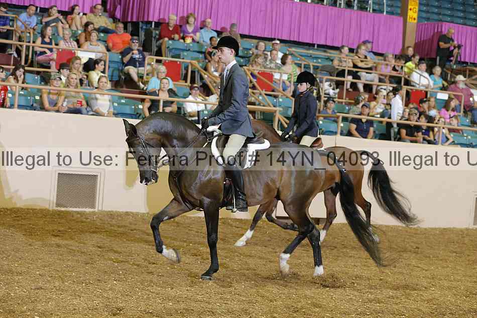 Proof 14yn_04093