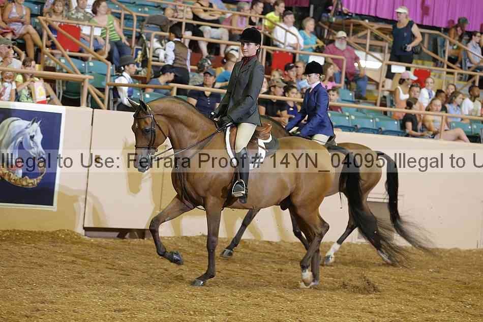Proof 14yn_04095