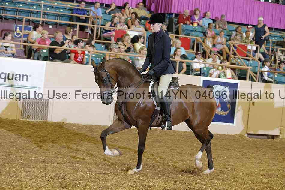 Proof 14yn_04096