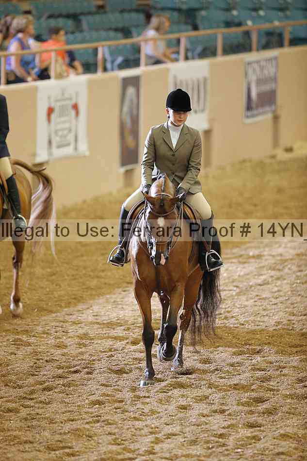 Proof 14yn_04099