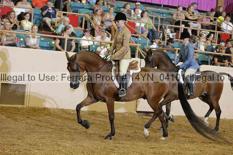 Proof 14yn_04101