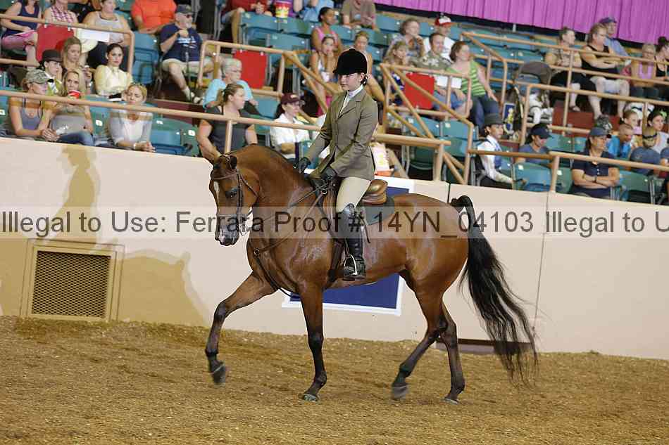 Proof 14yn_04103