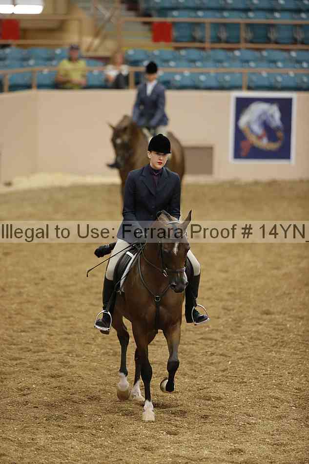 Proof 14yn_04105