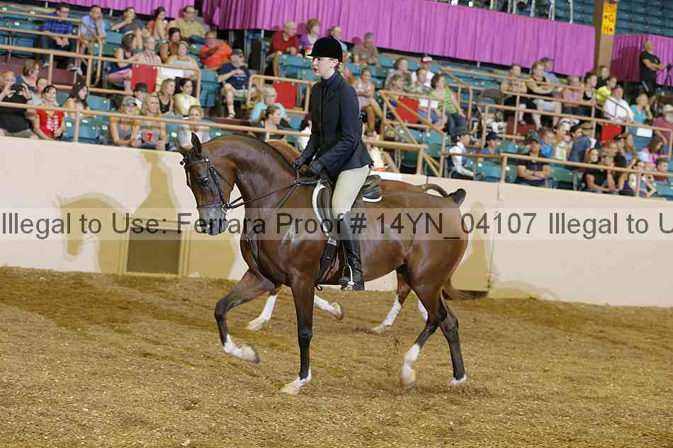Proof 14yn_04107