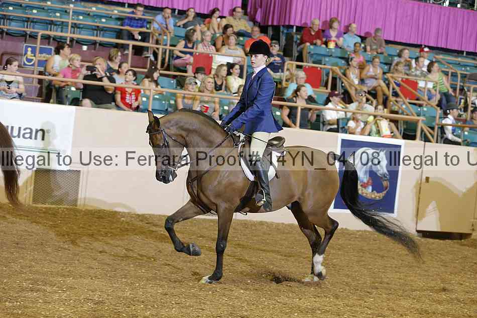 Proof 14yn_04108