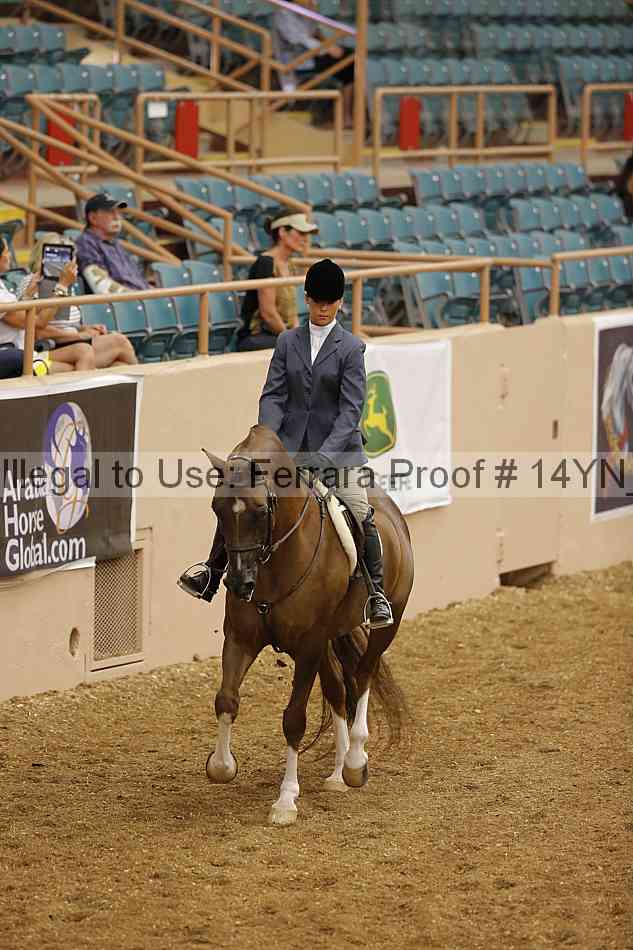 Proof 14yn_04109