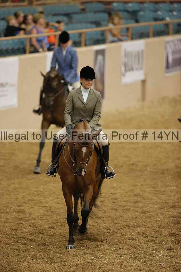 Proof 14yn_04113
