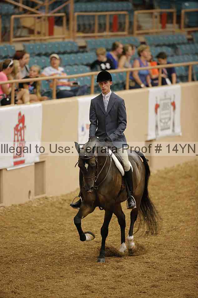 Proof 14yn_04119