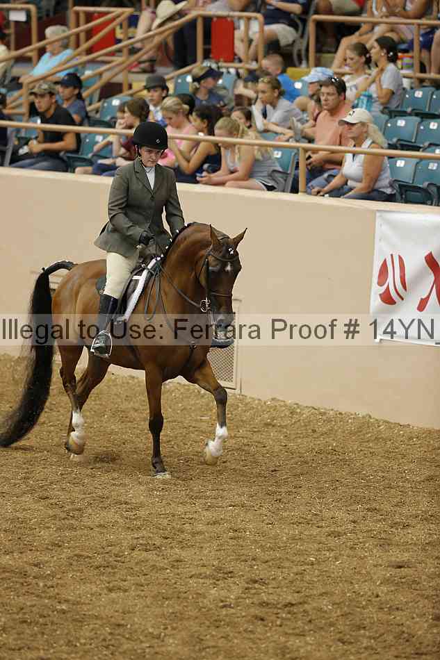 Proof 14yn_04126