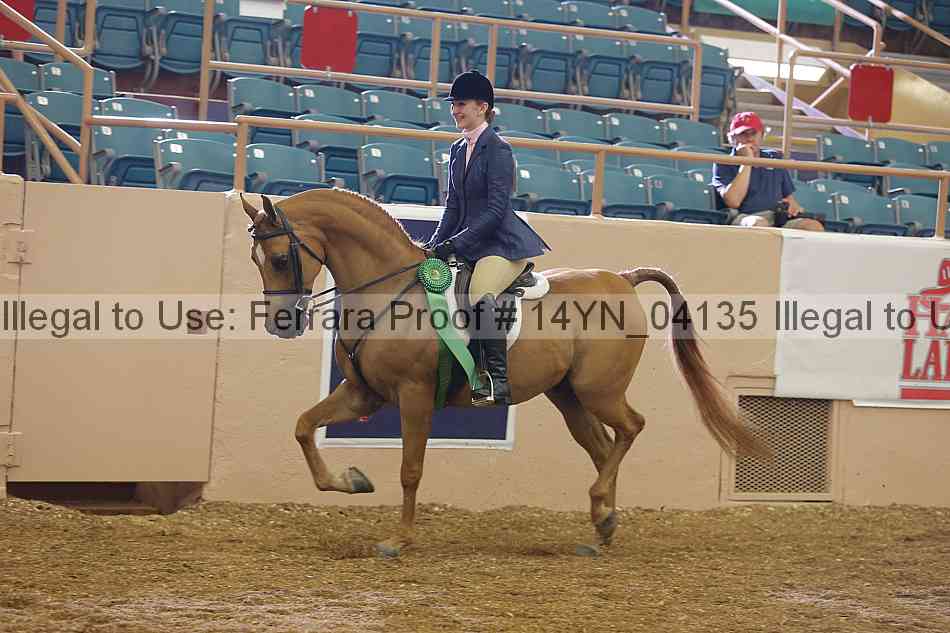 Proof 14yn_04135