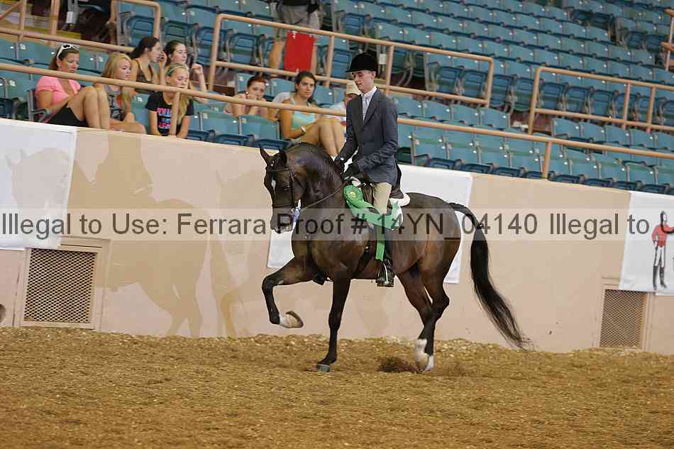 Proof 14yn_04140