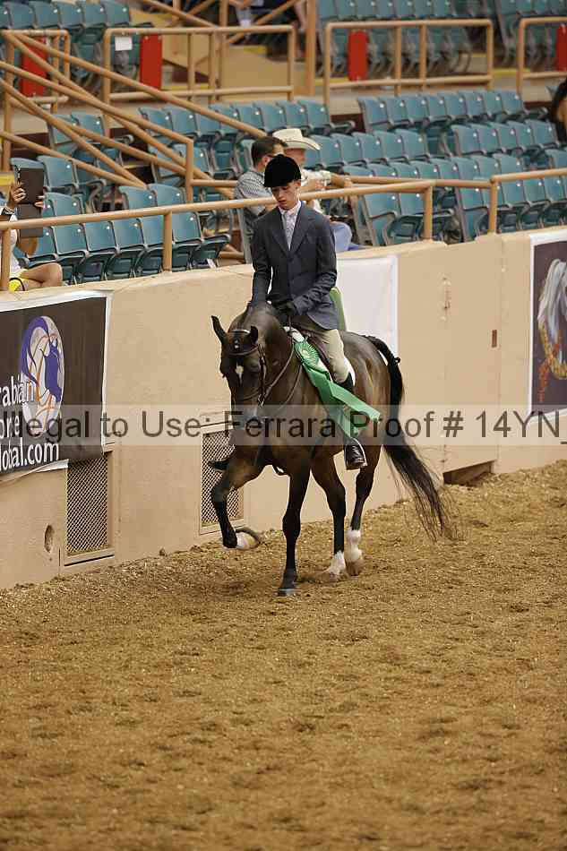Proof 14yn_04145
