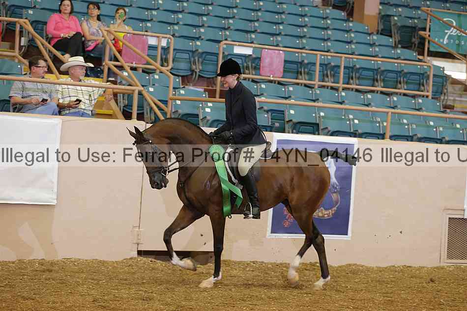 Proof 14yn_04146