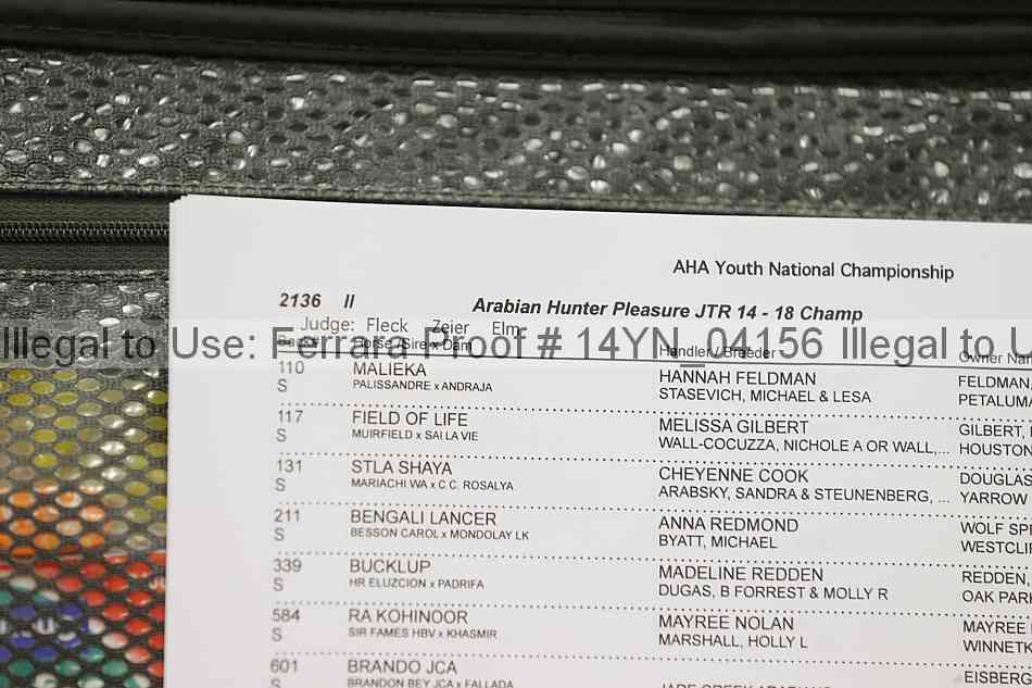 Proof 14yn_04156