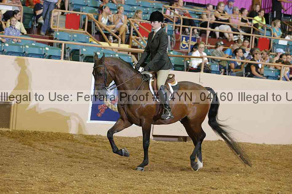 Proof 14yn_04160