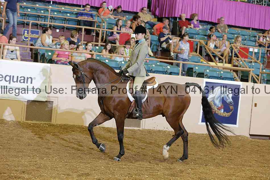 Proof 14yn_04161
