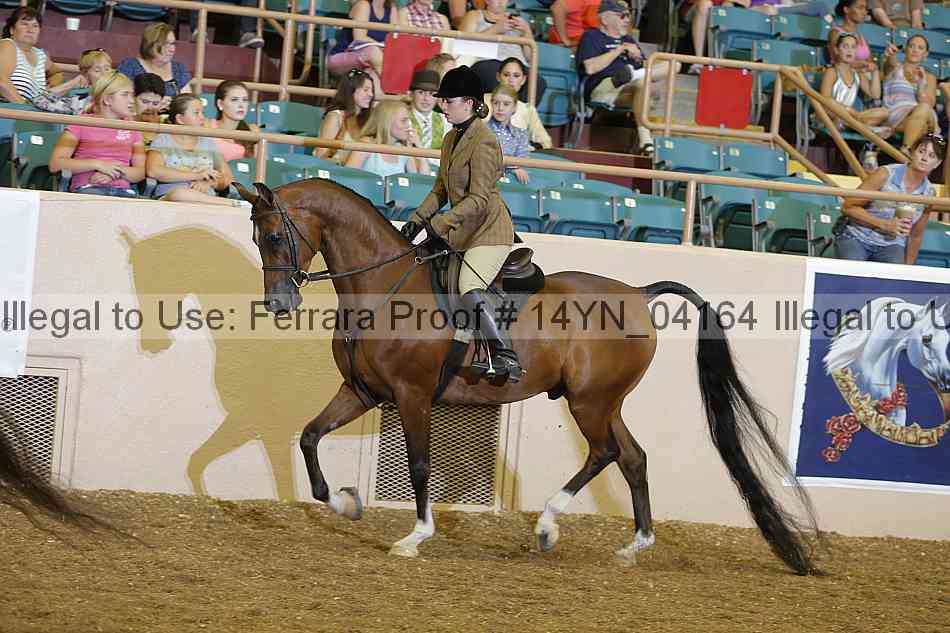 Proof 14yn_04164