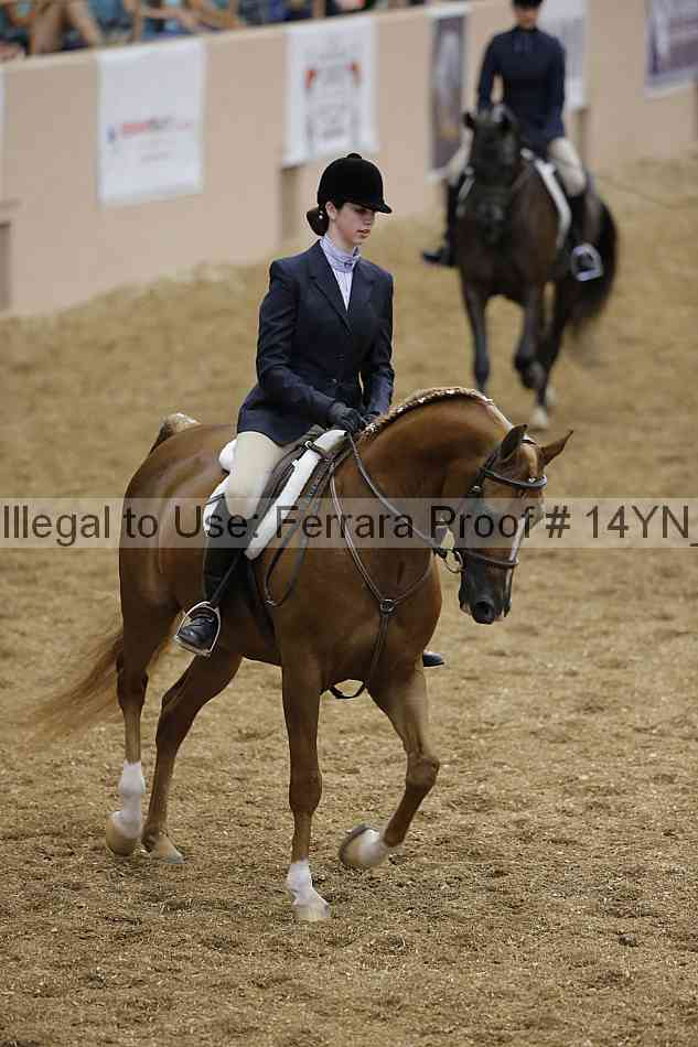 Proof 14yn_04165