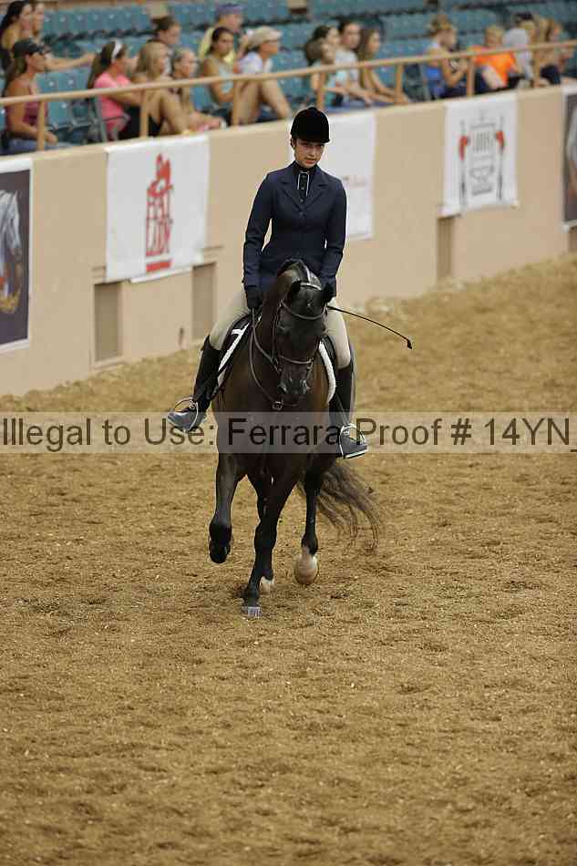 Proof 14yn_04167