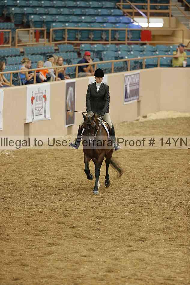 Proof 14yn_04172