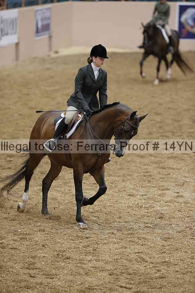 Proof 14yn_04173